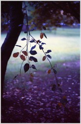 dailyPhoto20